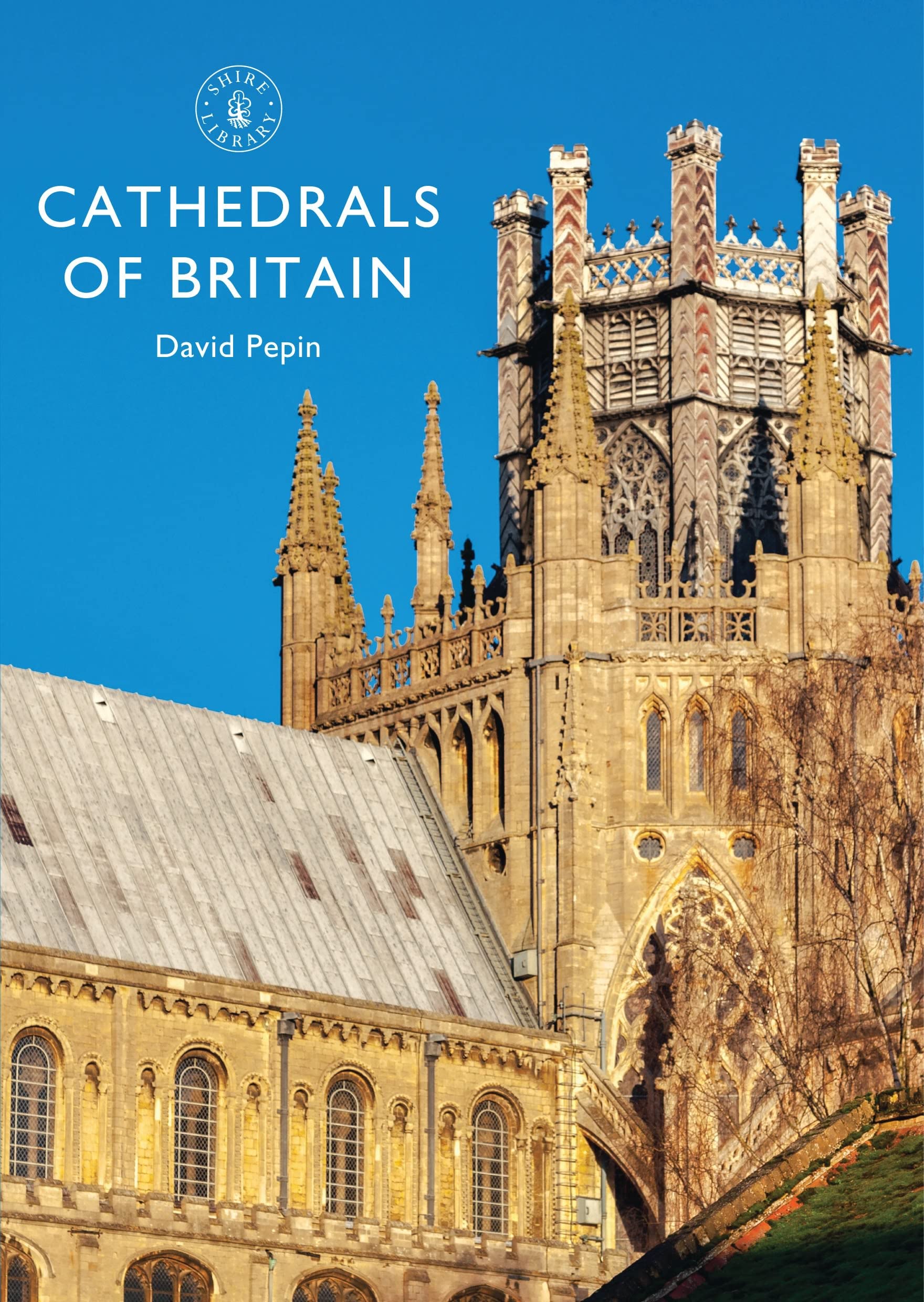 Cathedrals of Britain: 831 (Shire Library): Amazon.co.uk: Pepin